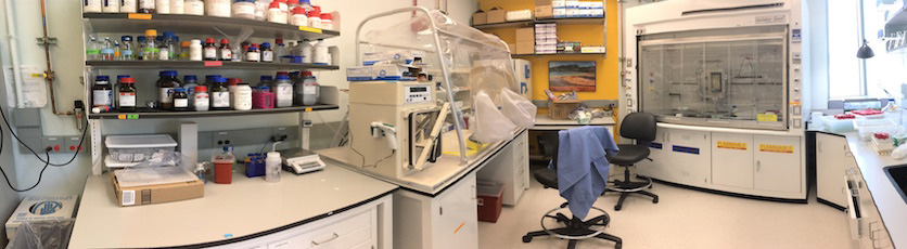 Overview of the Microbial Culturing Lab
