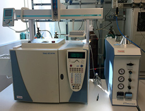 Thermo Trace GC Ultra/GC-C III instrument 